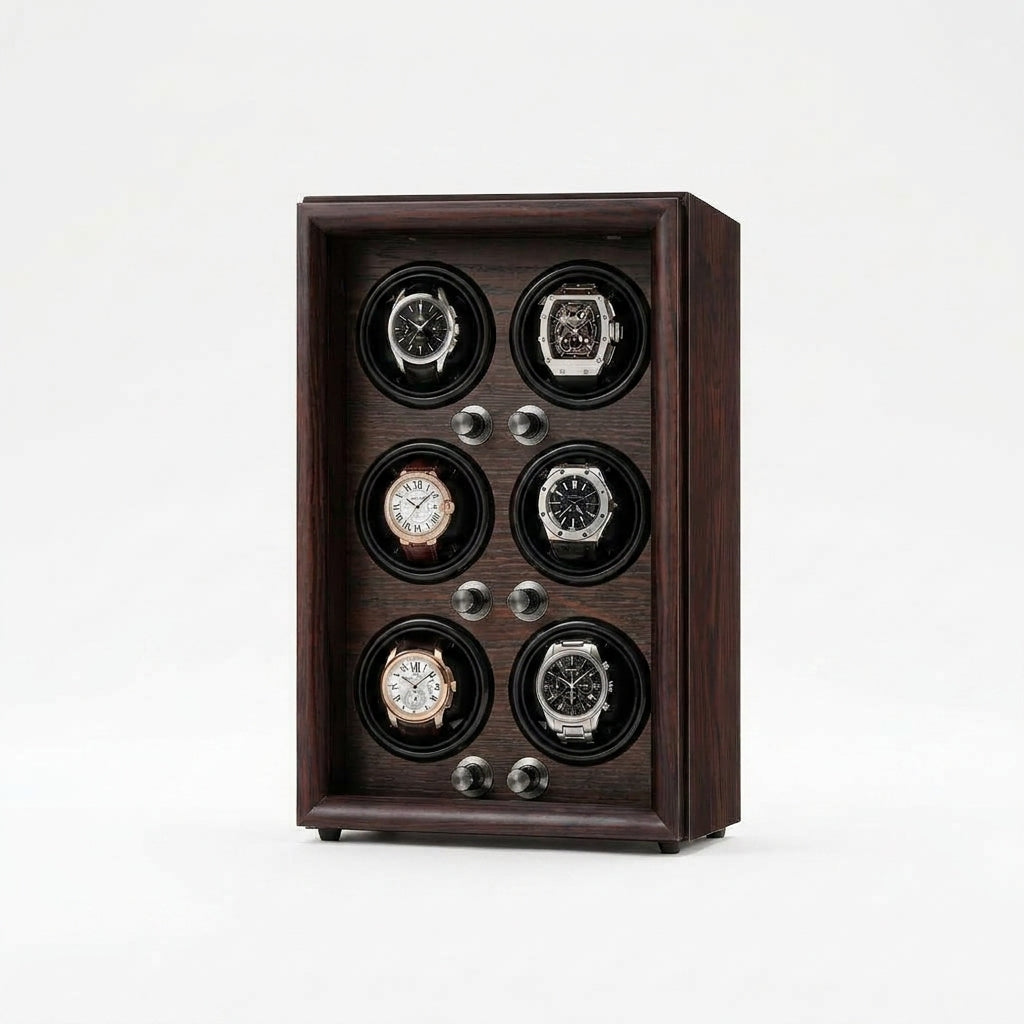 Remontoir Automatique 6 Montres – Raspail